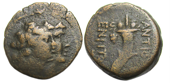 Ake-Ptolemais, Phoenicia Ae : Dioscouri / Cornucopia